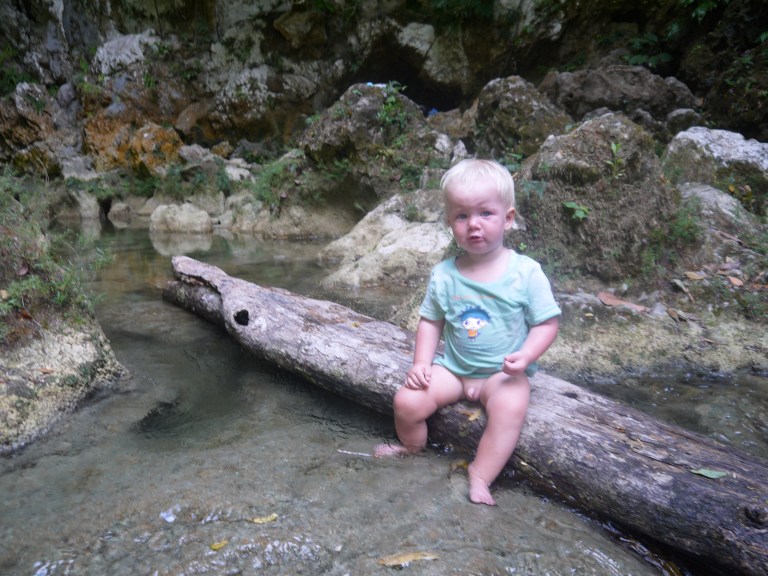 My brother sat on a log - #