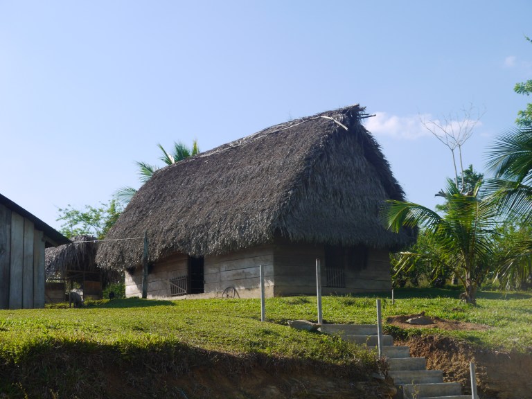 On the way to Blue Creek cave - traditional mayan house #3