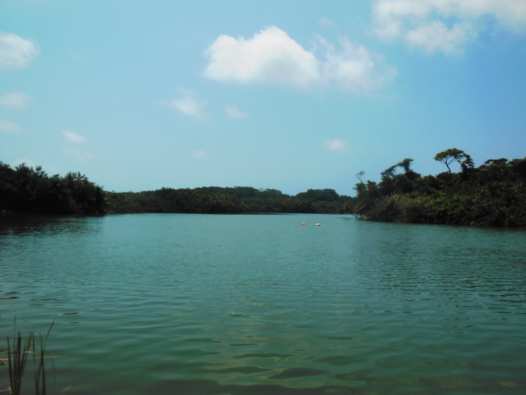 Sittee river - Travellingminstrel #7