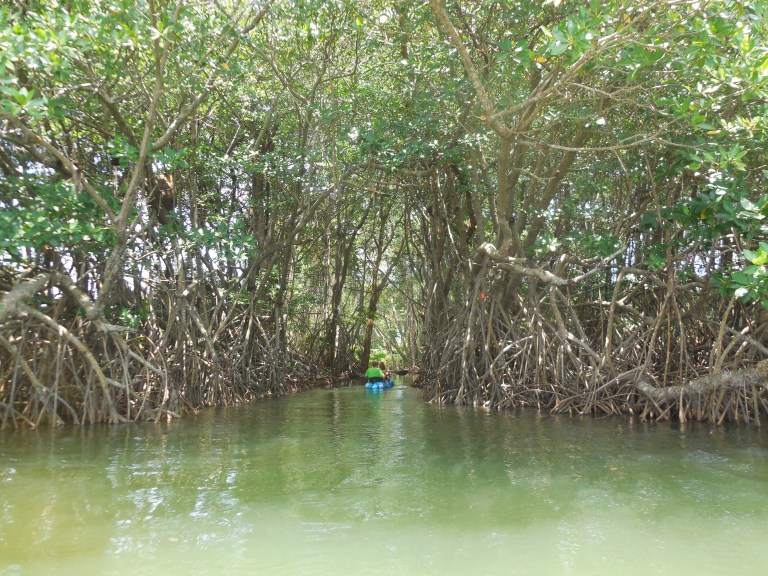 beginning of the small river - Travellingminstrel #10