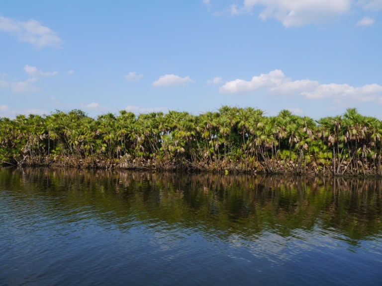 banks of the New river - Travellingminstrel #