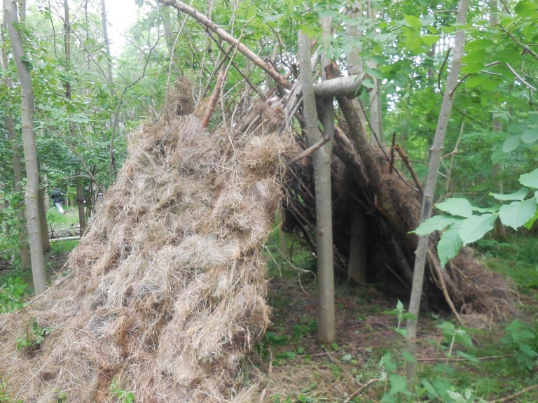 The den - Travellingminstrel #