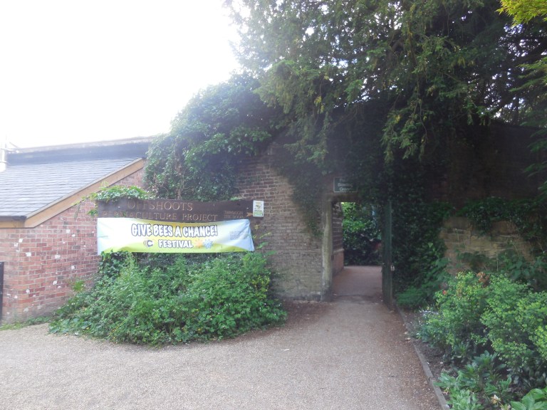 Entrance to the festival - Travellingminstrel #1