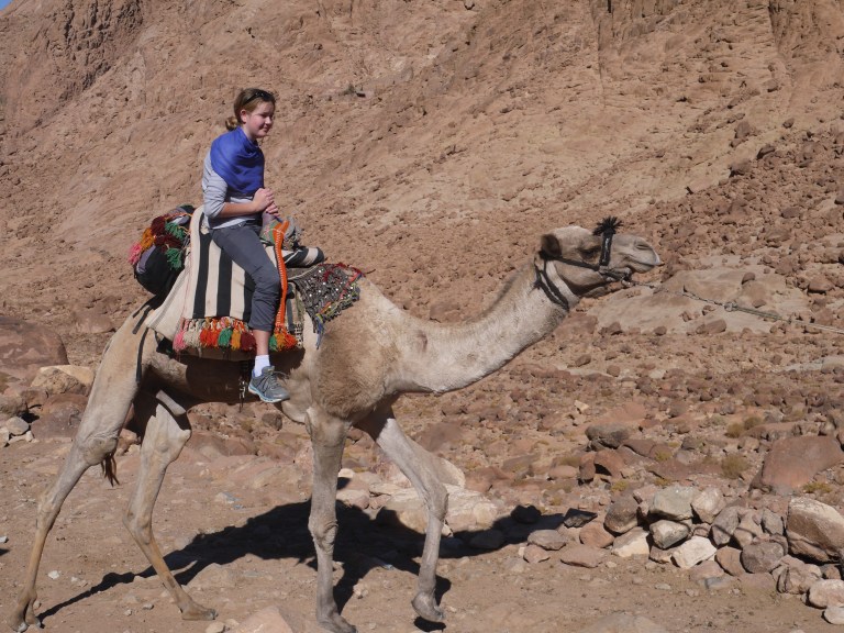 Me on a camel - Travellingminstrel #