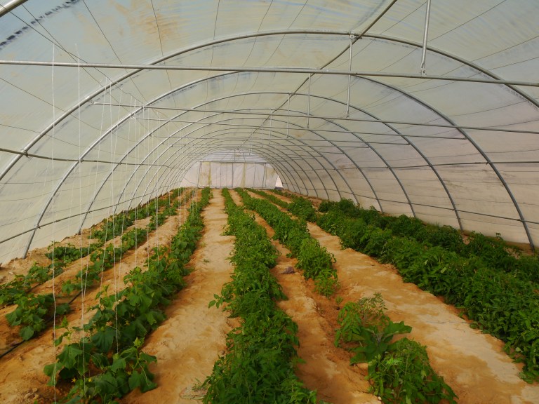 Polly tunnel - Travellingminstrel #1