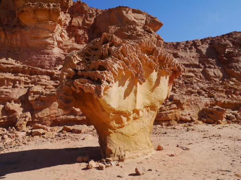 The Mushroom - Travellingminstrel #4