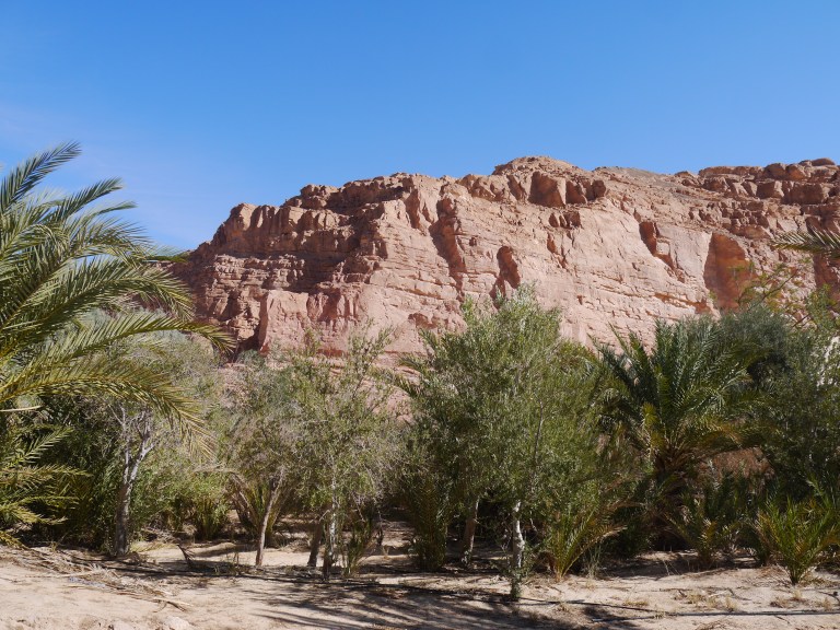 The Oasis - Travellingminstrel #5