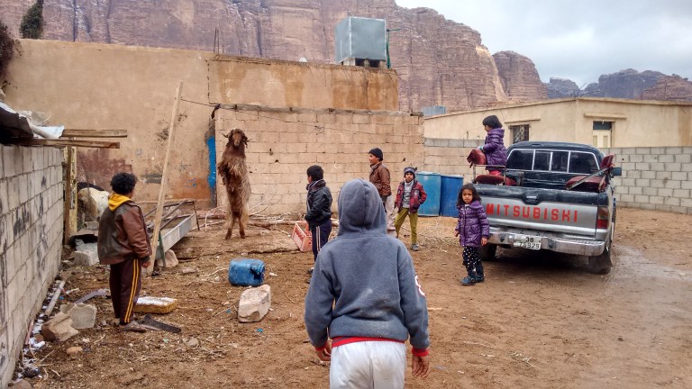 Goat - Travellingminstrel #