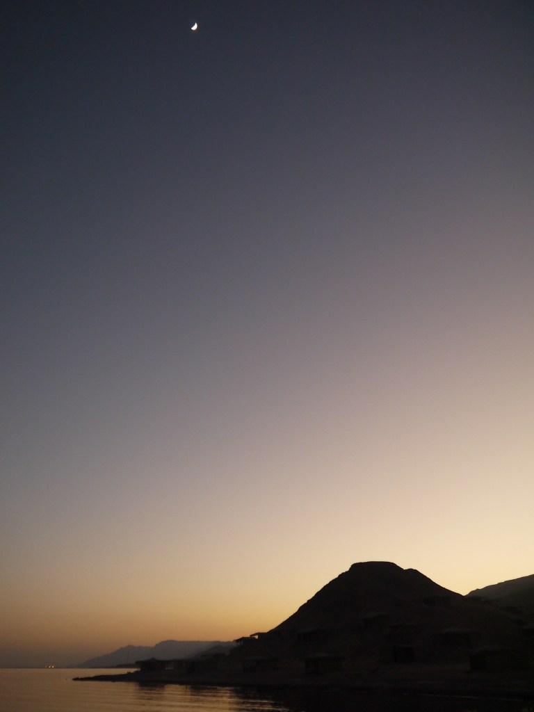 Travellingminstrel #