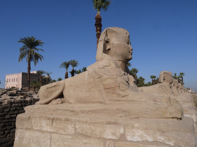 Sphinx - Travellingminstrel #