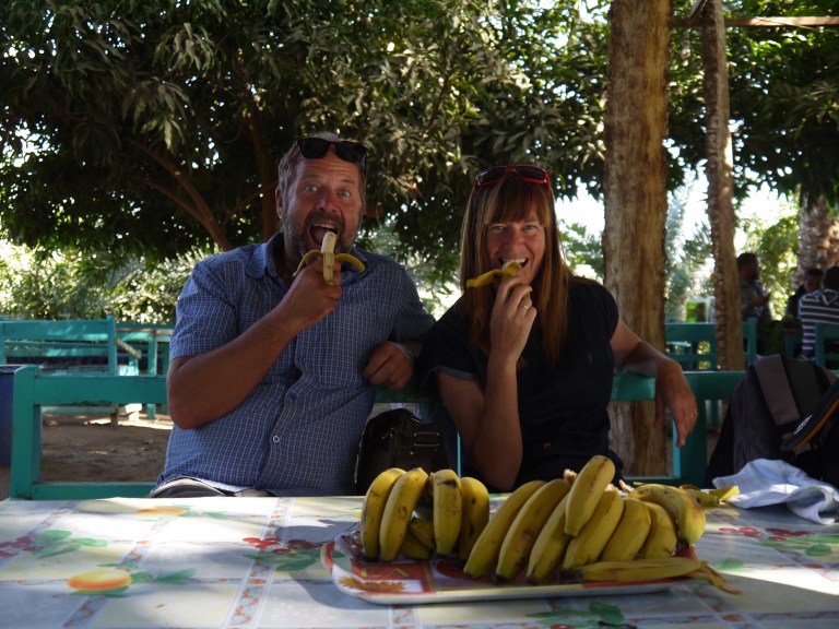 2 monkeys - Travellngminstrel #