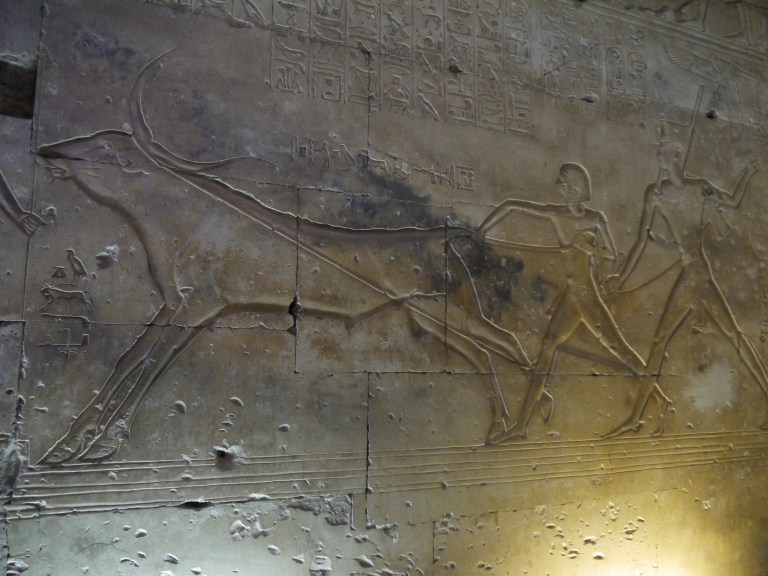 Travellingminstrel #