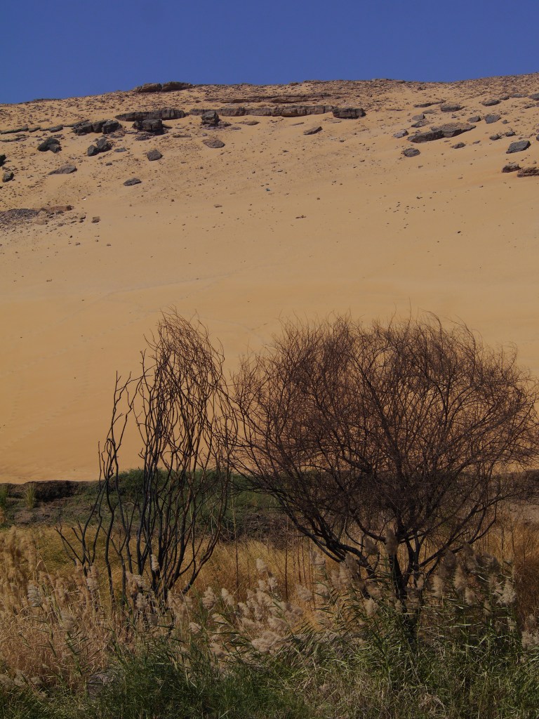 Travellingminstrel #