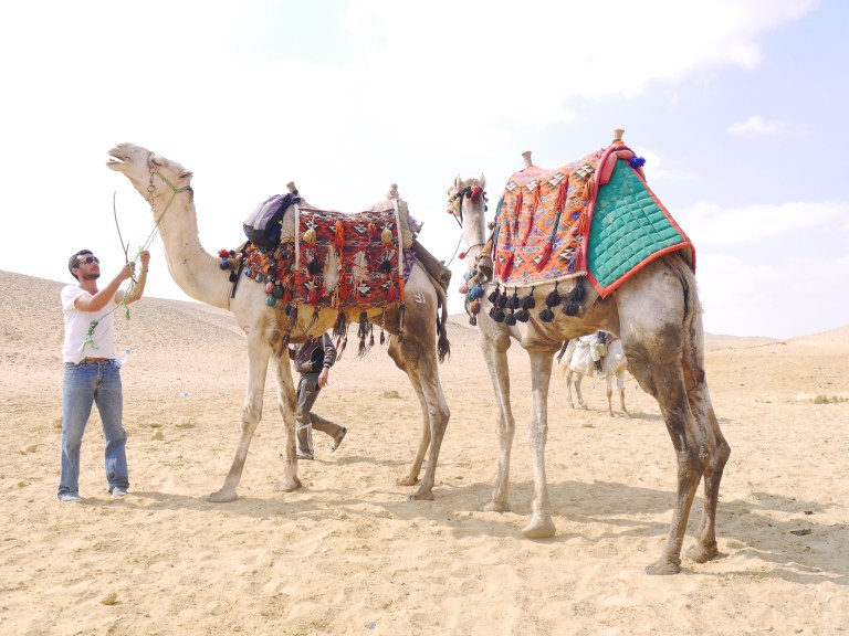 Thomas - Travellingminstrel #