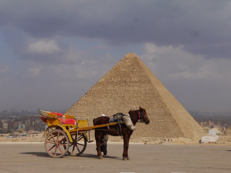 Travellingminstrel #