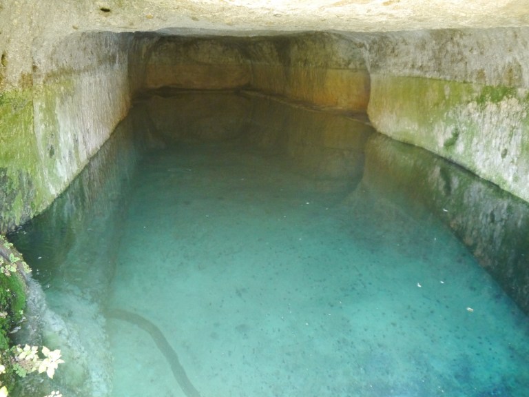 Travellingminstrel #