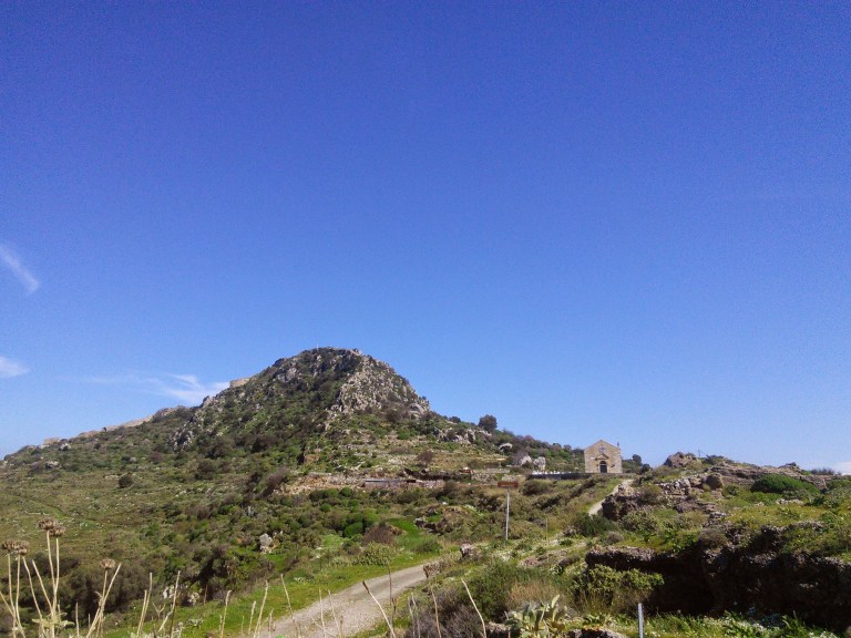 Polyrinia - Travellingminstrel #