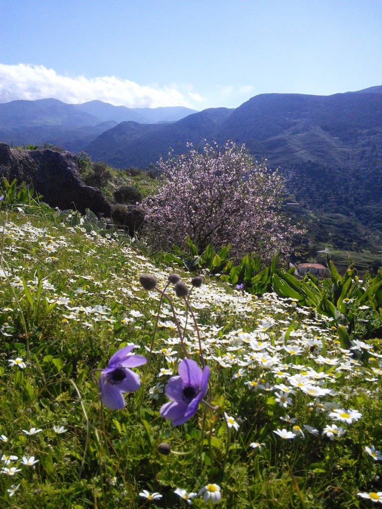 Travellingminstrel #