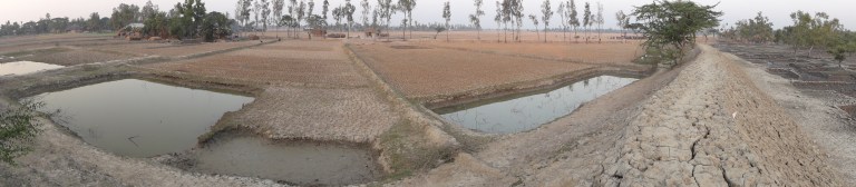 On an island in the Ganges - Travellingminstrel #