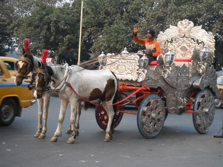 Horse carriages - Travellingminstrel #