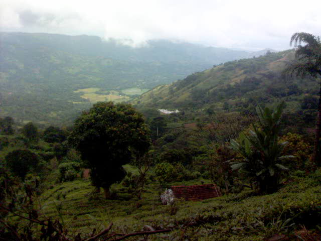 View - Travellingminstrel #