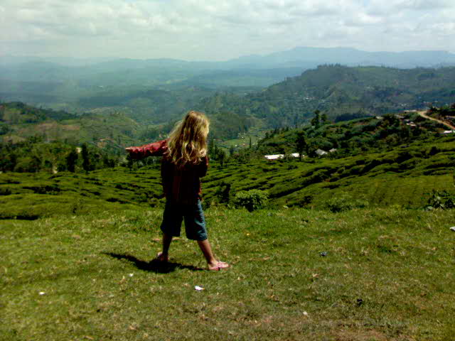 View in Nuwara  Eliya - Travellingminstrel #