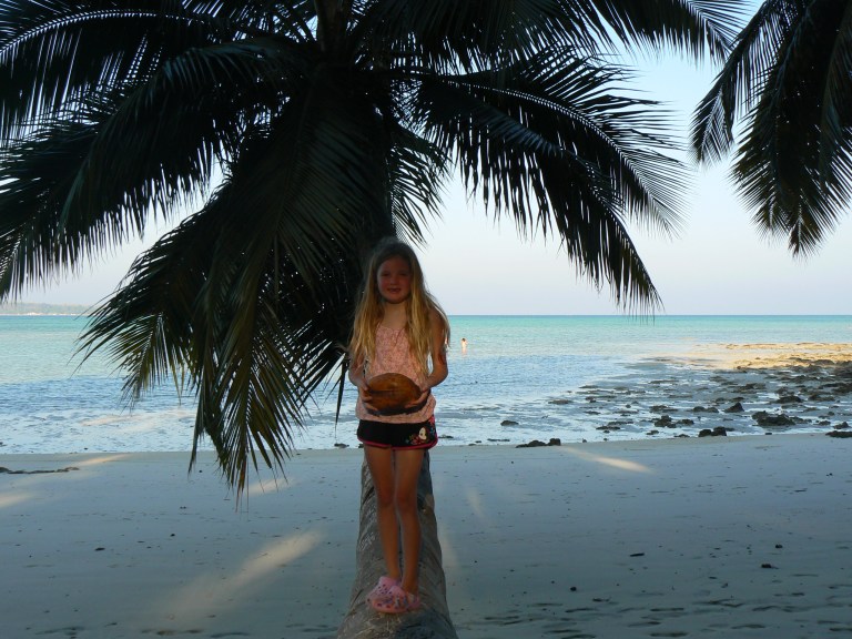 Coconut tree - Travellingminstrel.com #