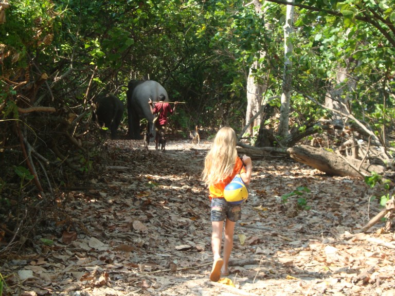 Following the elephants -Travellingminstrel.com # 