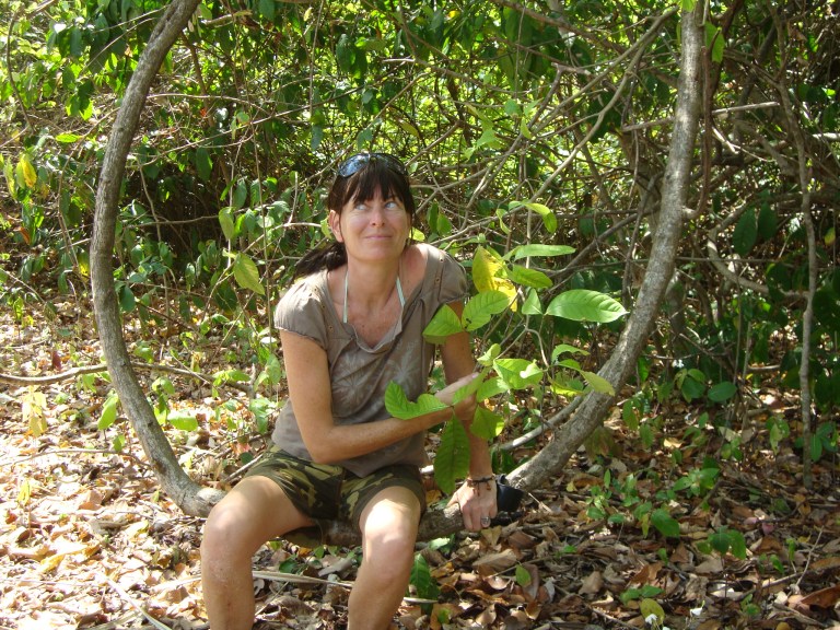 Found it - Travellingminstrel.com #