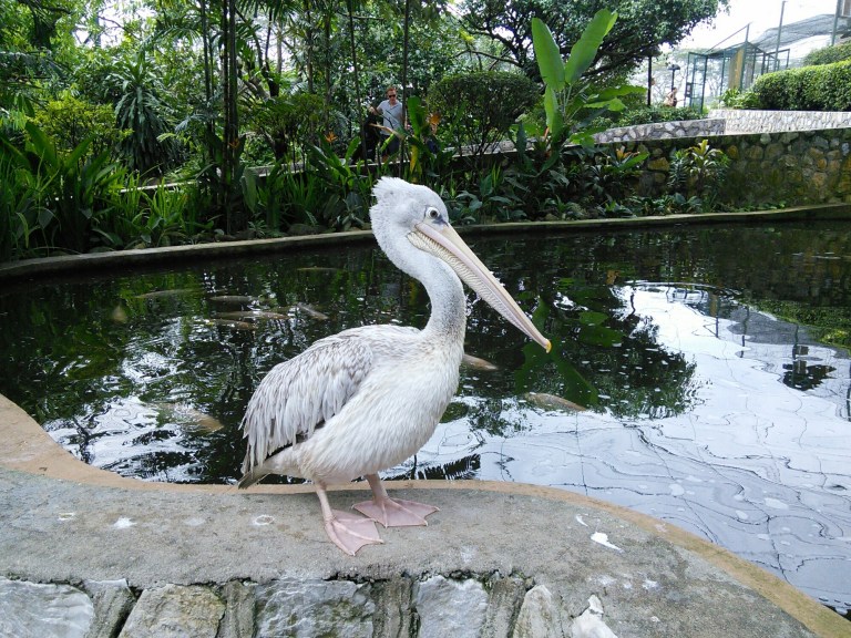 wp-1452414767329 image