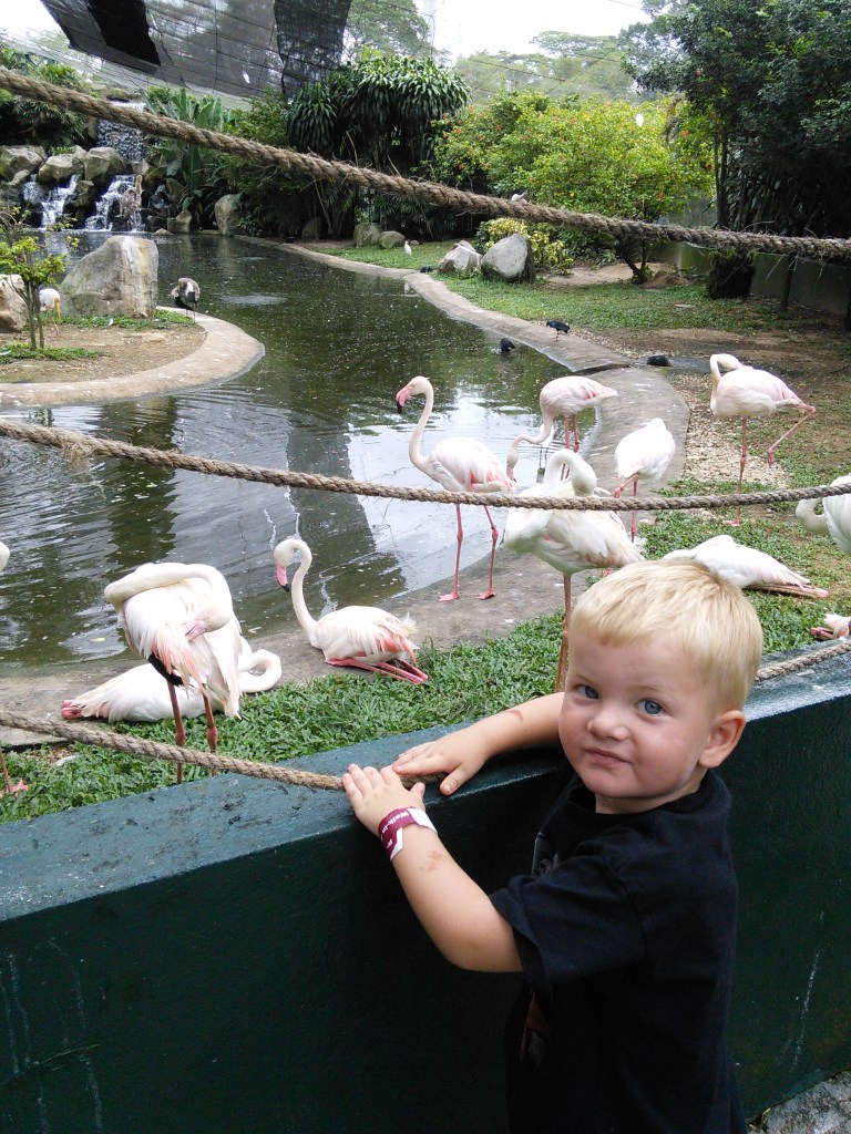 wp-1452414941729 image