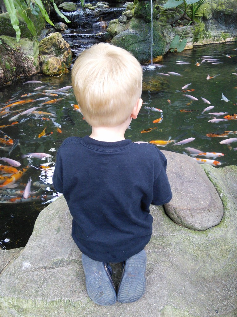 wp-1452415033252 image