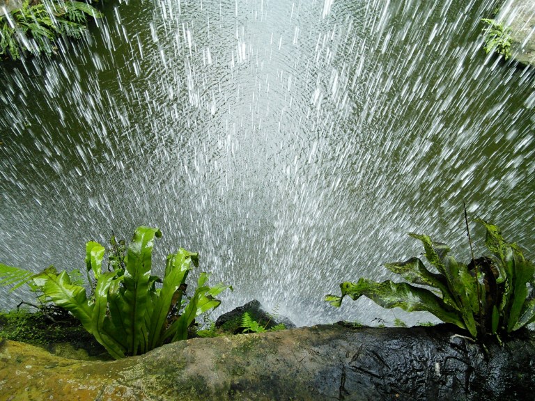 wp-1452415102536 image