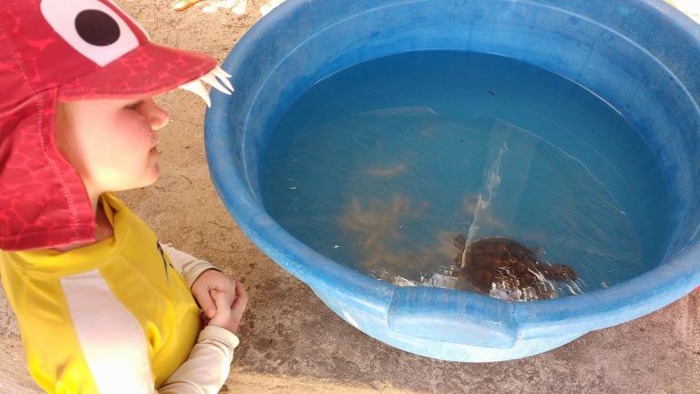 20727296_10155113984408999_290715042_o