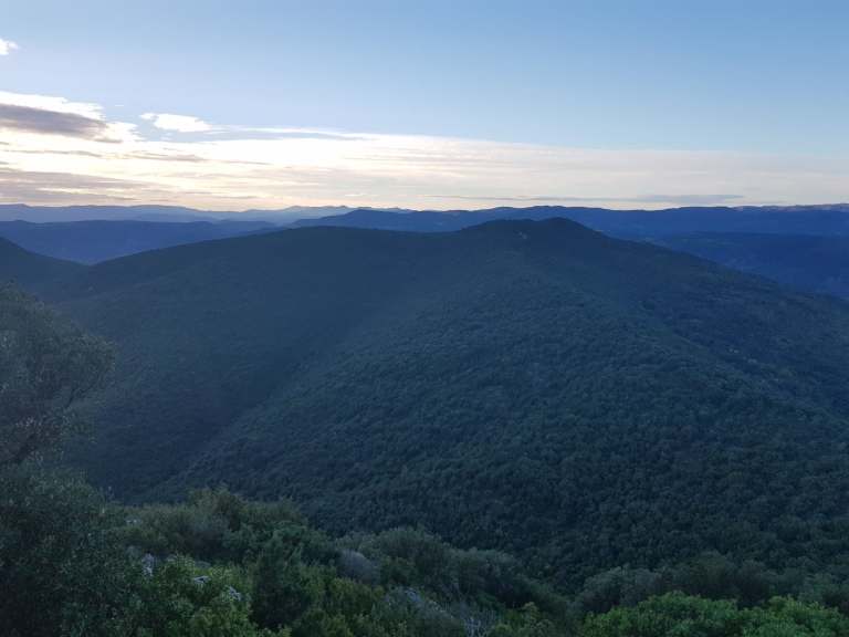 100087804_182797443005910_7212807681348730880_n