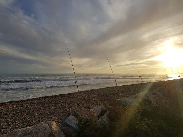 100782899_256512372125969_4557400406354821120_n