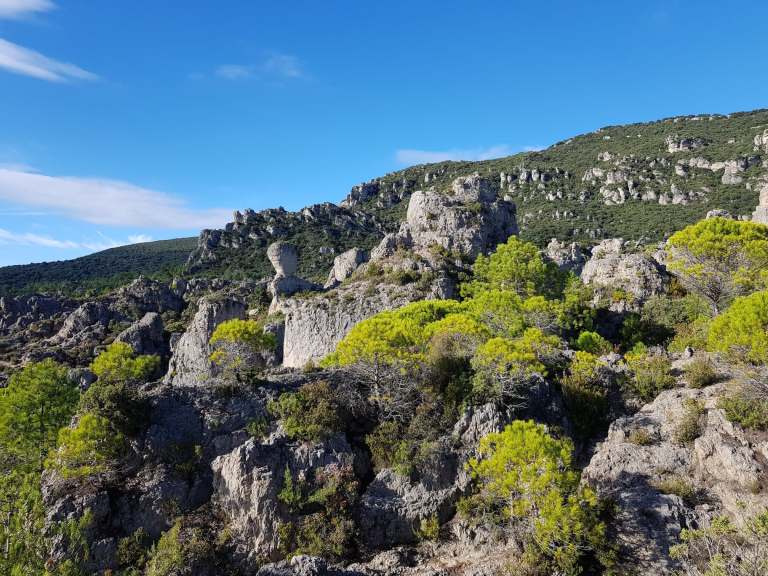 99370344_196725851422302_6508436004037197824_n