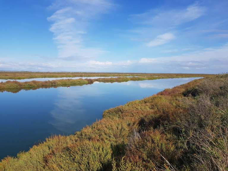 99425097_1049058112157207_8940299066022035456_n