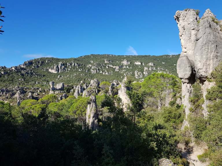 99440000_1393088977747973_948619909019992064_n