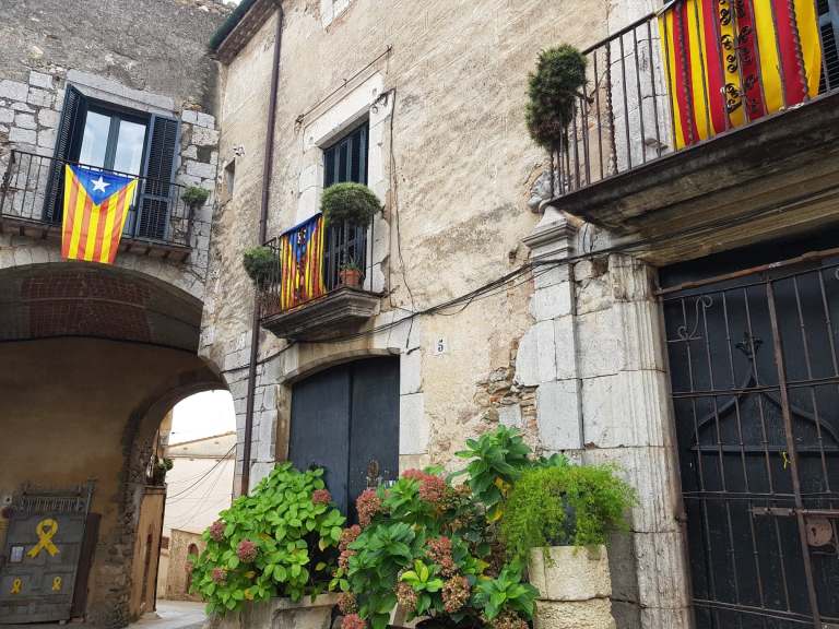 103937072_565264304420796_5433738876047505895_n