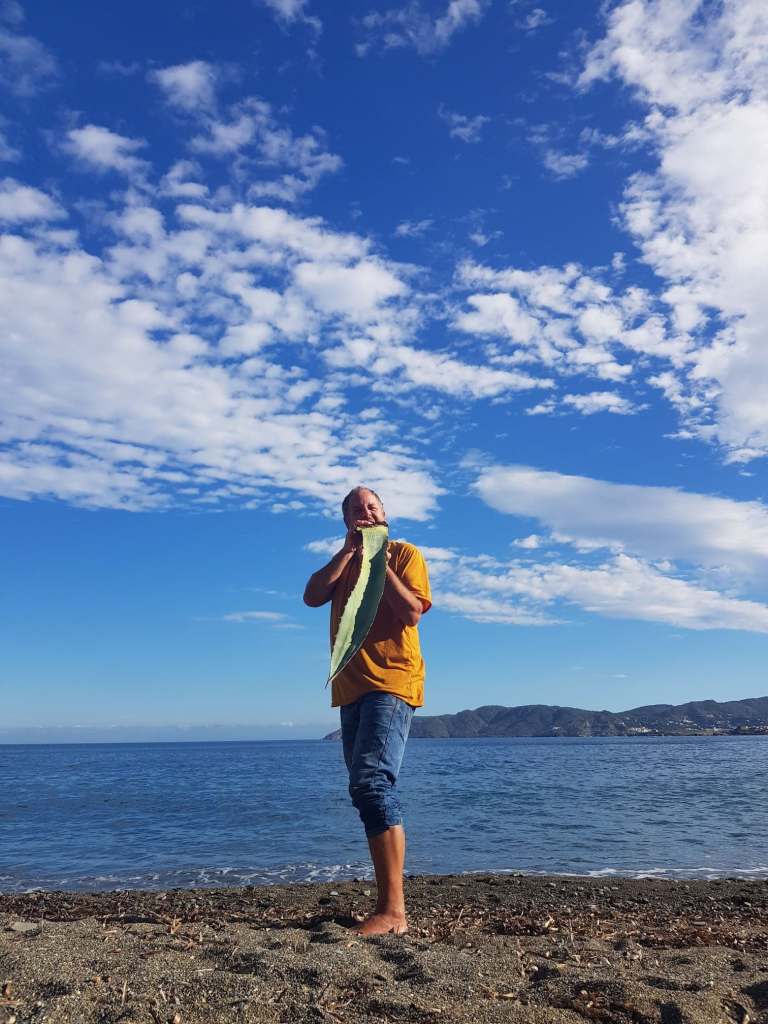 103942542_672711636992204_1562171112100960786_n